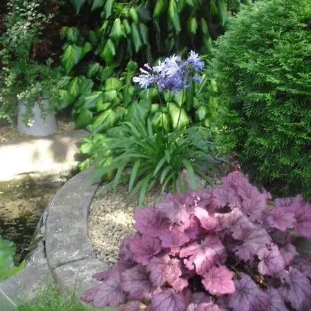 Comic Fantasy & Cosplay - Leipzig-halle - Messe 4 Betten 4 Parkplaetze Klavier & Kaminzimmer